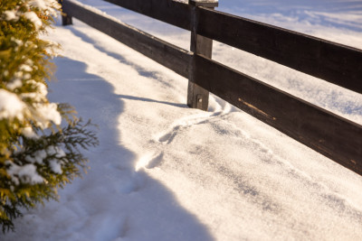  Björnbärsvägen 18