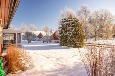  Björnbärsvägen 18