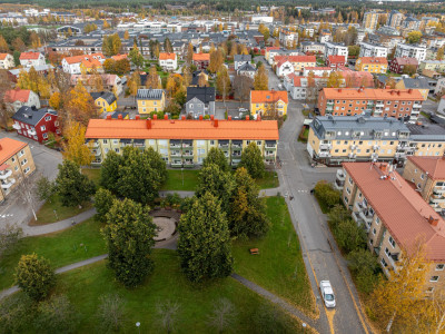  Döbelns Plan 7